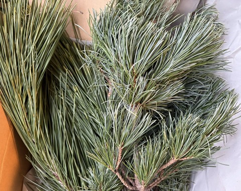 613993217_25651192834533833_2943029414527747166_n