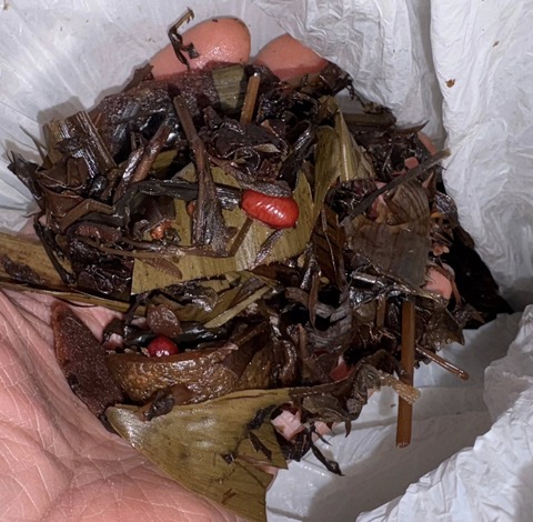 608210107_25560812803571837_5117307720618400971_n