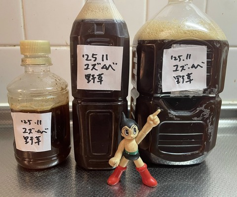 584556491_25204188045900983_6175346992128780957_n