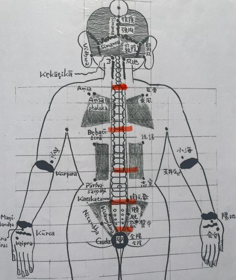 449525087_7865181080228282_8843904946173373899_n