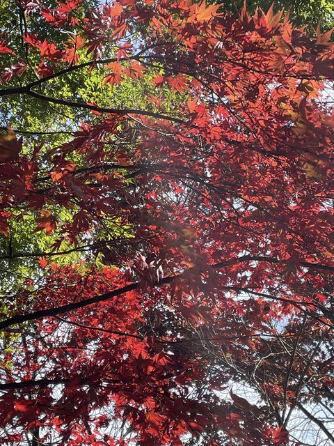 574896184_25112304671755988_8092554619216011222_n