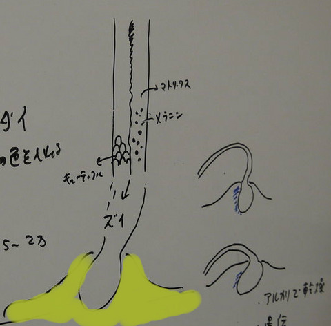 b30b8217[1]