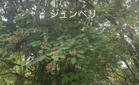 436495870_7688735351206190_7562133530923182516_n
