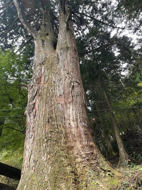 576946323_25112304358422686_4154261398096482705_n