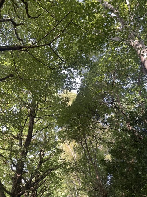 561718522_24932186393101151_8489851690818966986_n