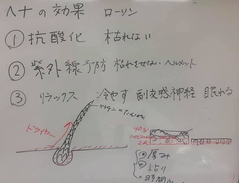 238069348_4275976072482152_4695155939122979225_n