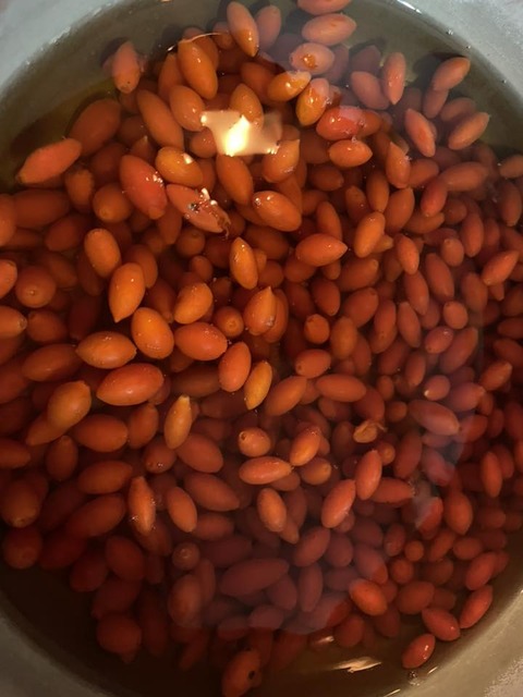 578791764_25140575128928942_7704284459614450900_n