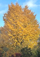 403402012_3313756258924782_3033280681860123096_n