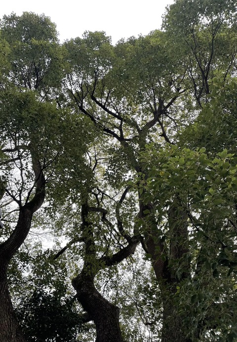 322511013_840189573758178_3159295650421689617_n