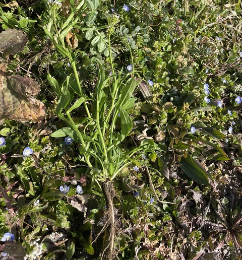 426502168_380278274699390_6824453027480926016_n