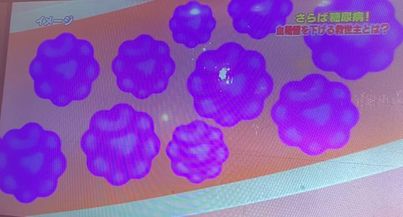 339574038_600466655301718_6781044052228633992_n