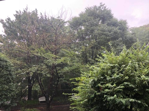 117901714_3251348271611609_2241810712084263906_n