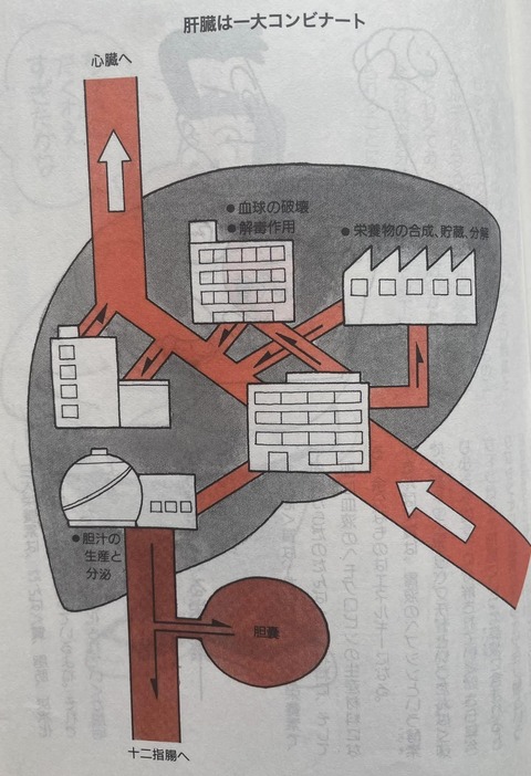 439311562_7532931496786577_6108109583852239728_n