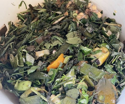 558392770_24841267068859751_7674140942741325424_n