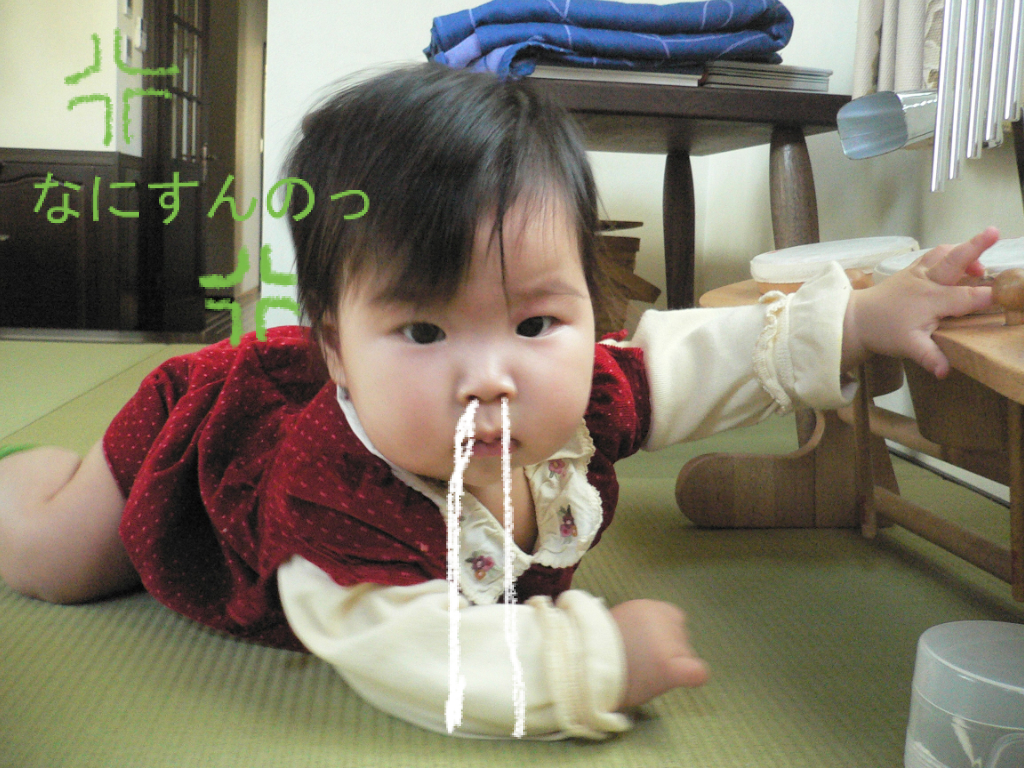 ちゃらりーん 明日も晴れ ちゃらりーん 明日も晴れ