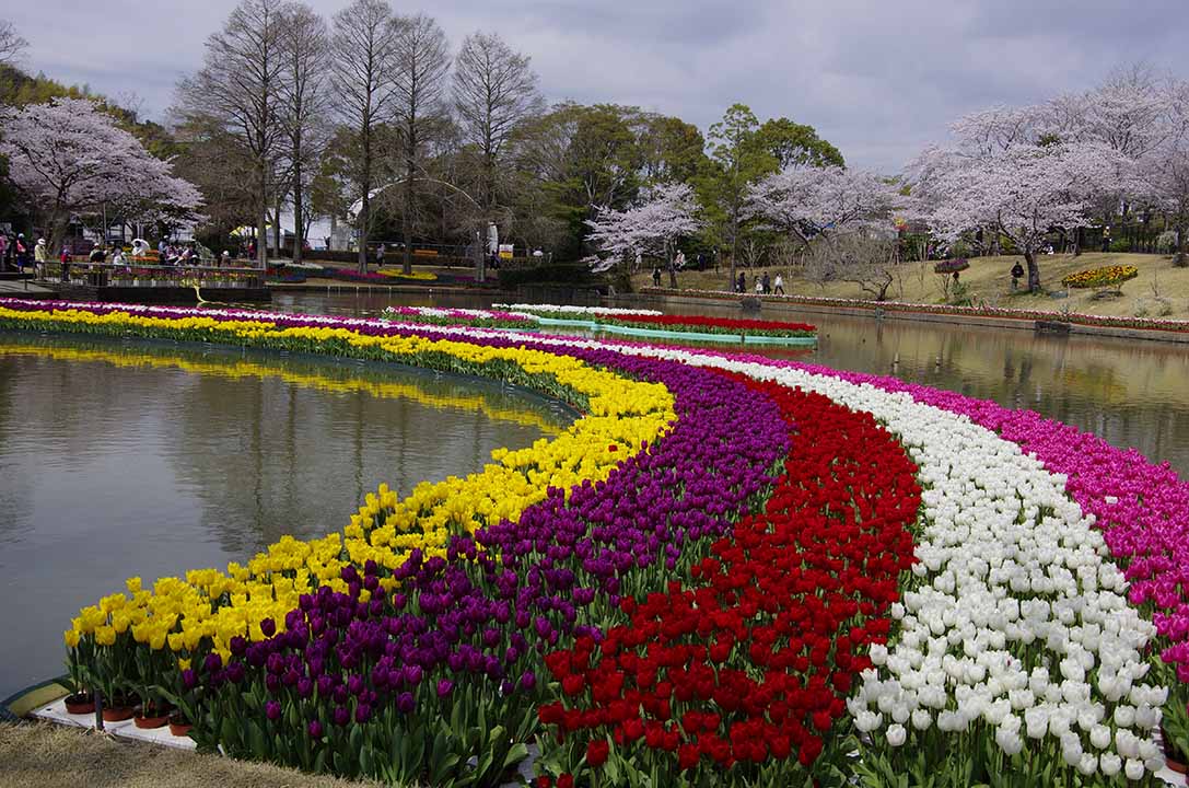 4月1日 浜名湖花博2014 : sanaru_koのblog