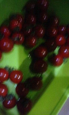 PA0_0030