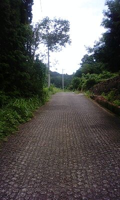 130714_1201~0001