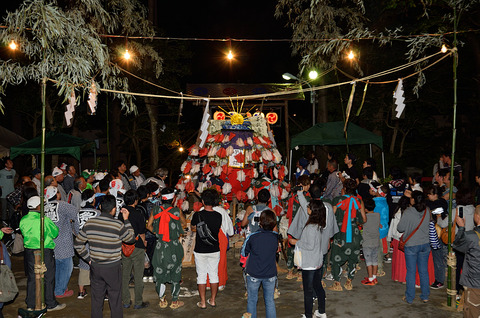 DSC_0697_1024