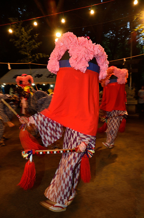 DSC_8537_1024