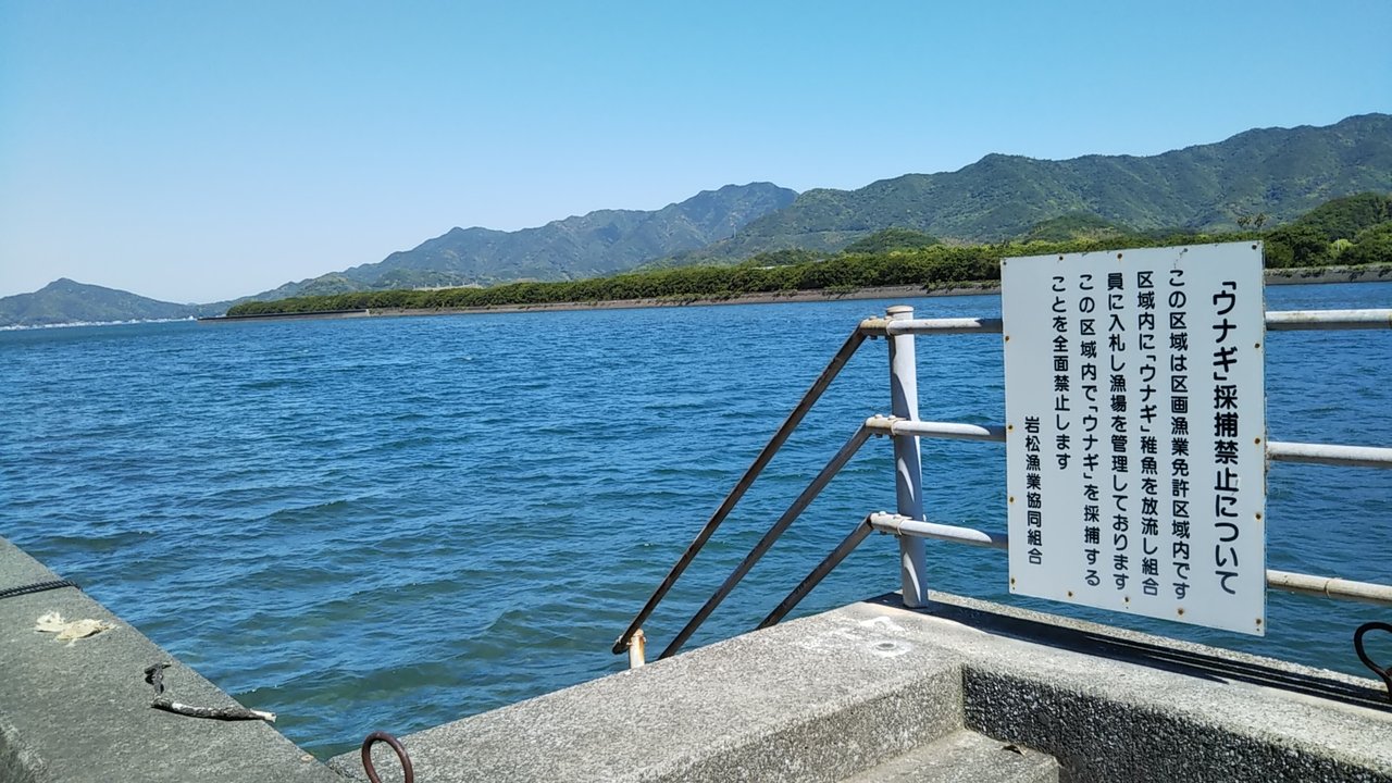 初夏の岩松川河口へウォーキング X１整体師のリハビリ日記