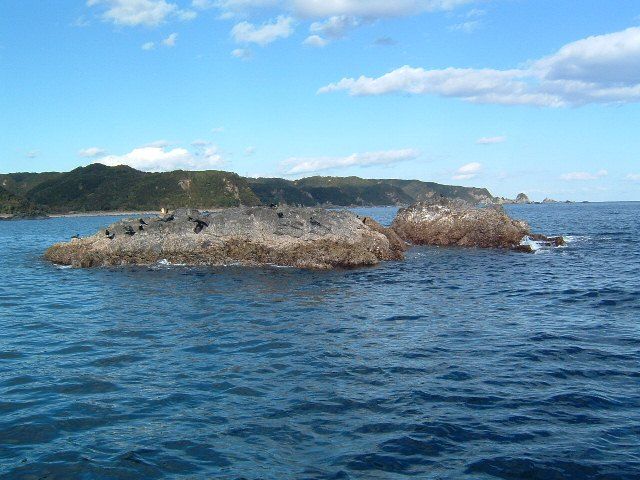 南紀 和歌山 紀伊田原 宮本渡船 磯釣り その３ さすらいの風来坊 さんちゃん