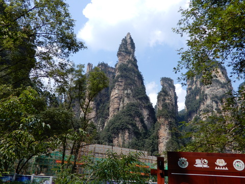 DSCN2181