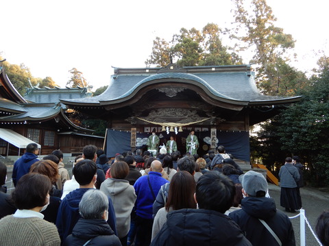DSCN8134