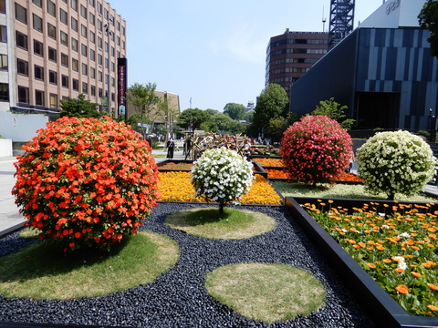 DSCN5615