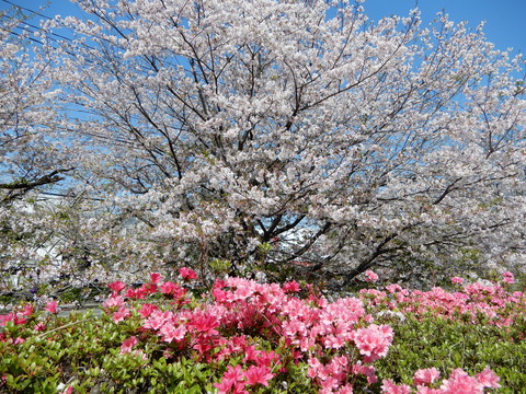 DSCN3758