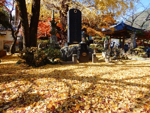岳林寺２