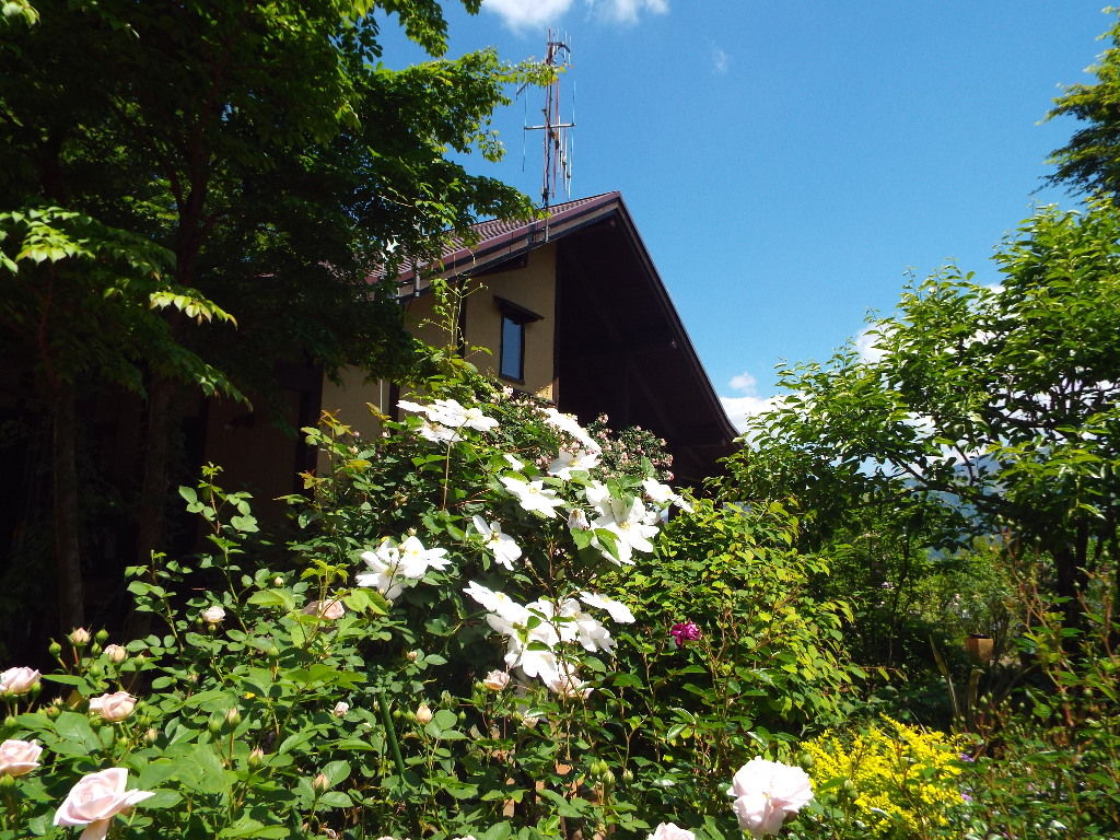 イメージ 1