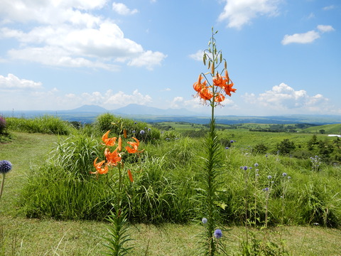DSCN8776