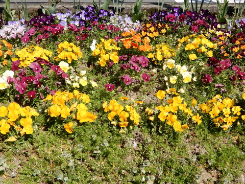 DSCN3772