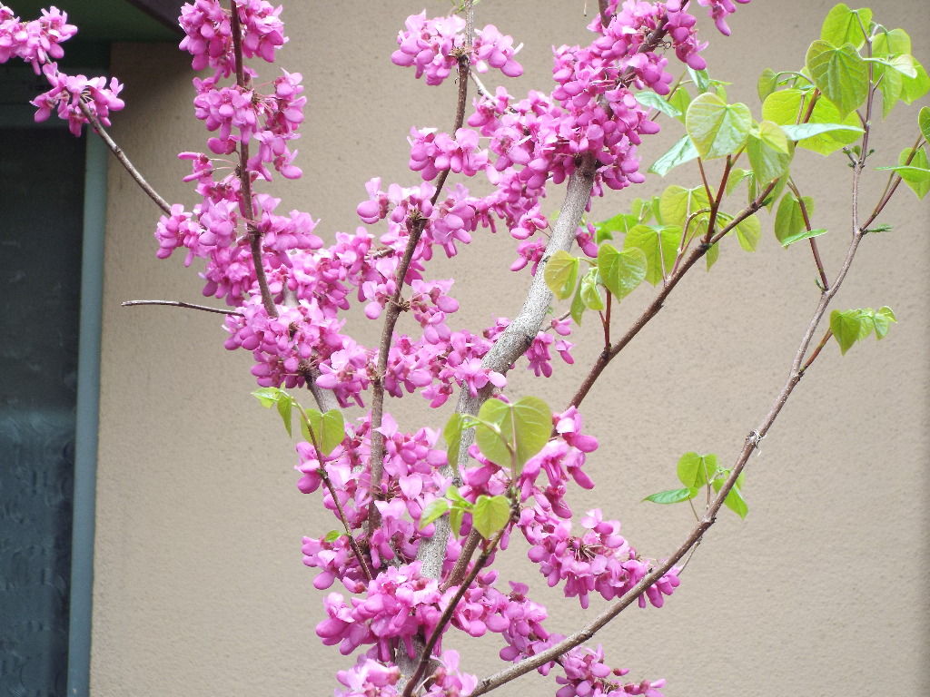 イメージ 8