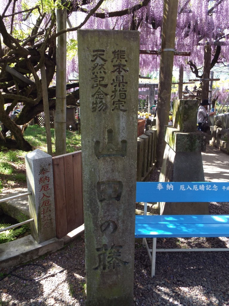 イメージ 8