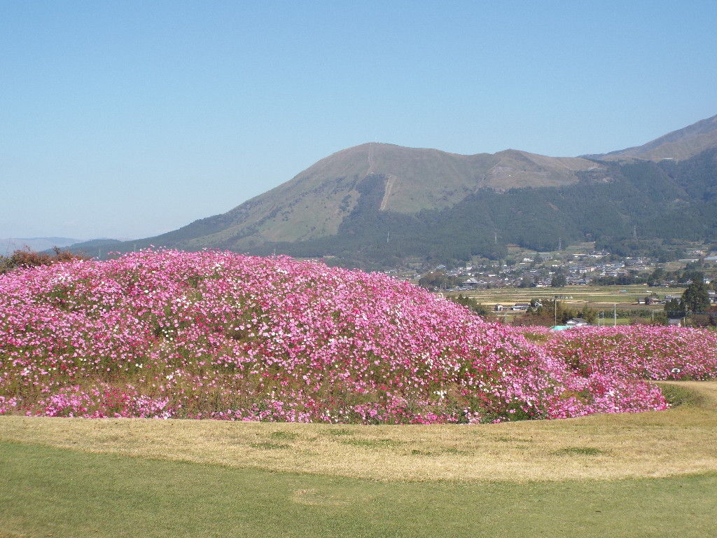 イメージ 10