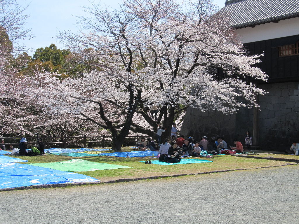 イメージ 9