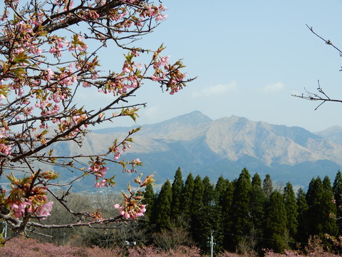 DSCN9326