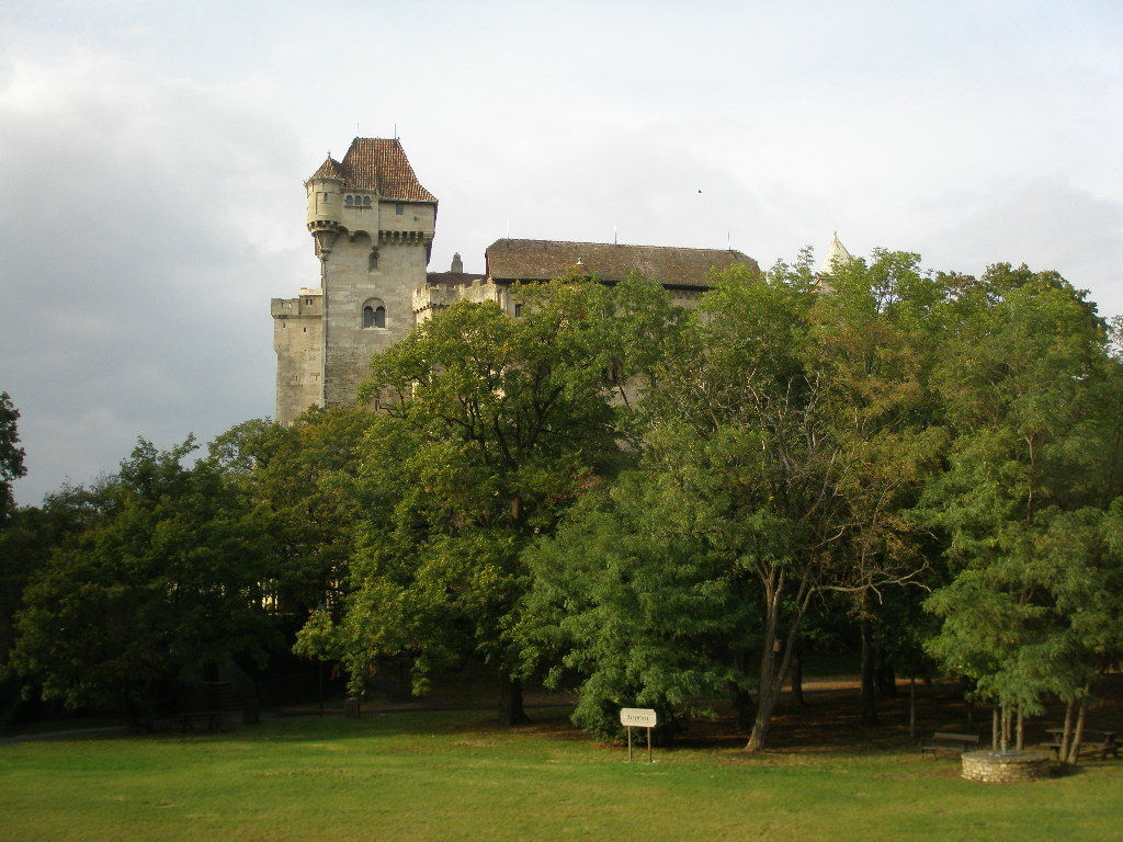 イメージ 8