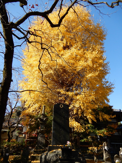DSCN3329