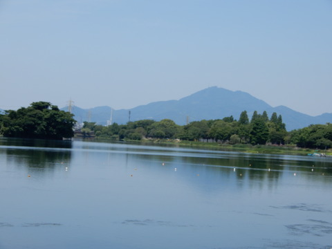 DSCN5733