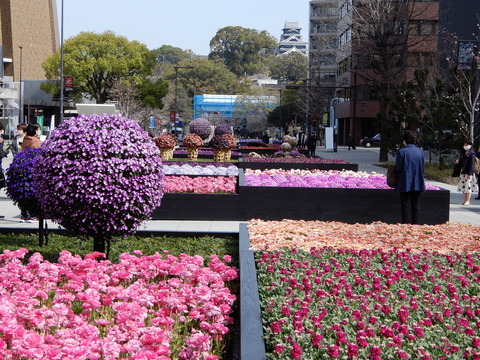 DSCN5338
