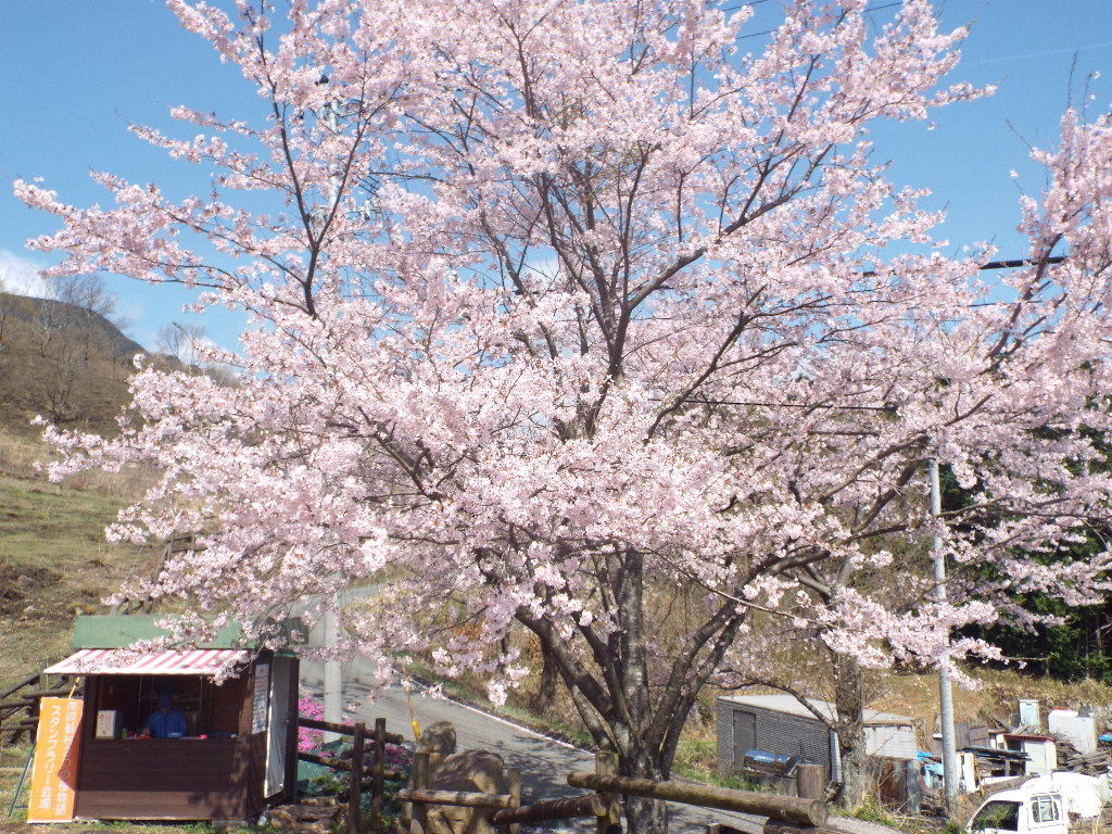 イメージ 6