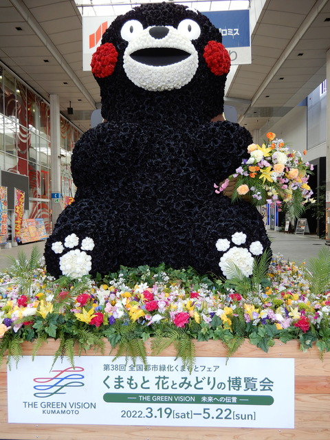 DSCN5356