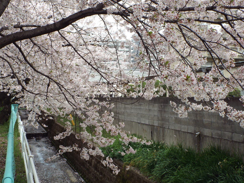 イメージ 3