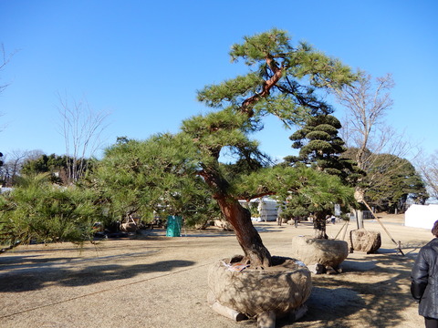 DSCN9161