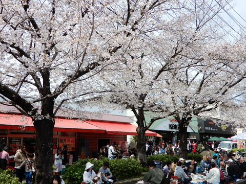 DSCN9366