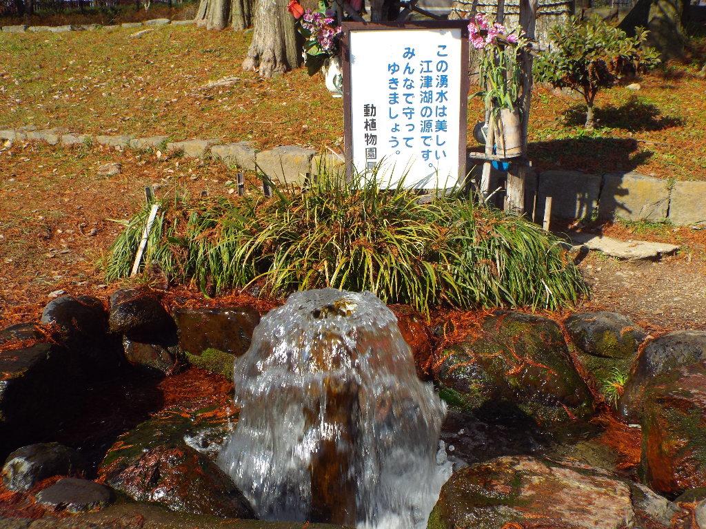 イメージ 6