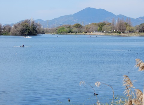 江津湖